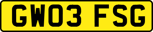 GW03FSG
