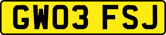 GW03FSJ