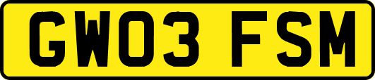 GW03FSM