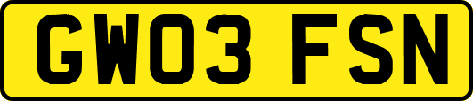 GW03FSN