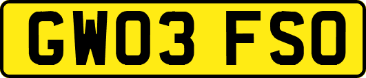 GW03FSO