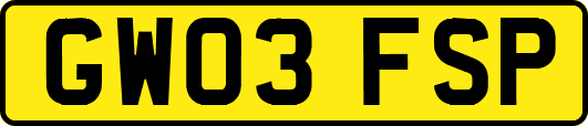 GW03FSP