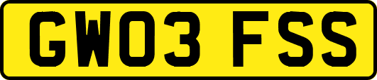 GW03FSS