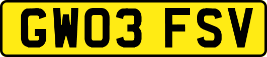 GW03FSV