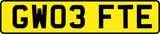 GW03FTE