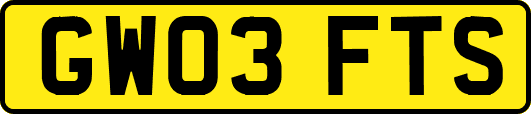 GW03FTS