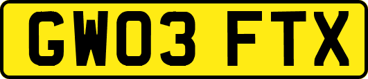 GW03FTX