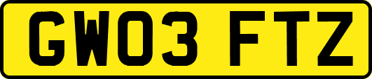 GW03FTZ