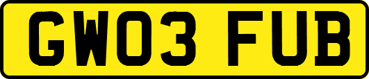 GW03FUB