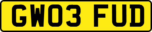 GW03FUD