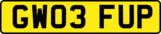 GW03FUP