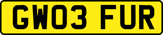 GW03FUR