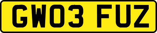 GW03FUZ