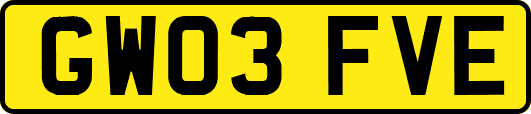GW03FVE