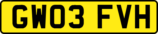 GW03FVH