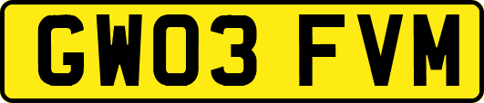 GW03FVM