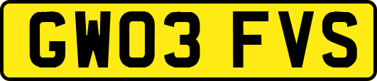 GW03FVS