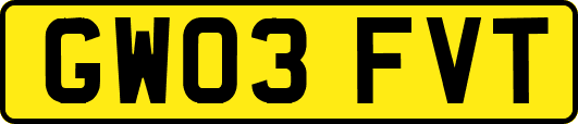 GW03FVT
