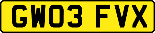 GW03FVX