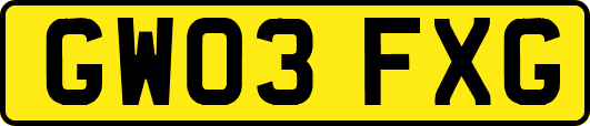GW03FXG