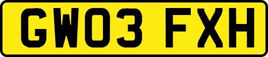 GW03FXH