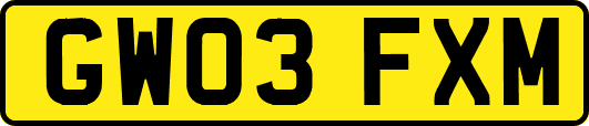 GW03FXM