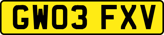 GW03FXV