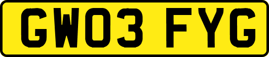 GW03FYG