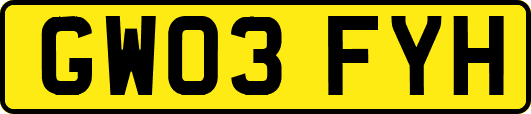 GW03FYH