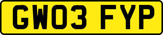 GW03FYP