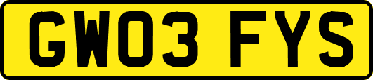 GW03FYS