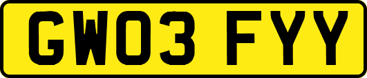 GW03FYY