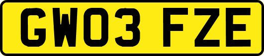 GW03FZE