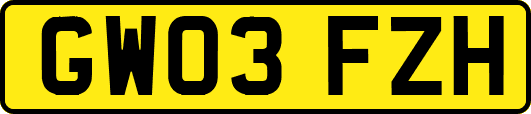 GW03FZH