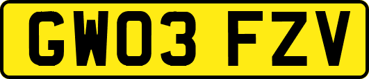 GW03FZV