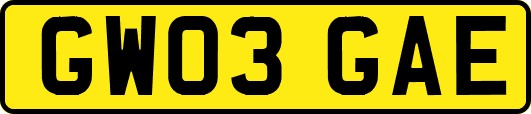 GW03GAE