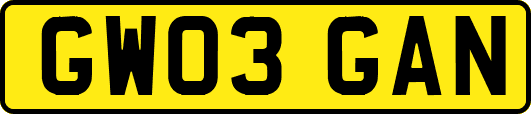 GW03GAN