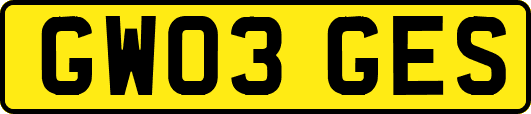 GW03GES