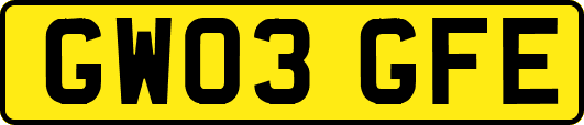 GW03GFE