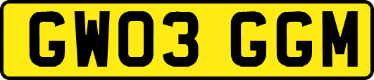 GW03GGM