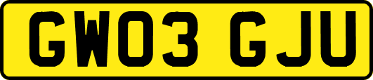 GW03GJU