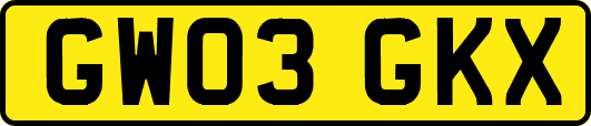 GW03GKX