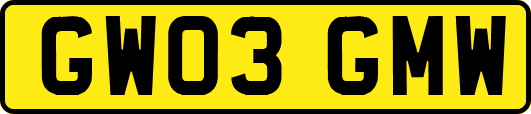 GW03GMW