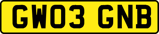 GW03GNB