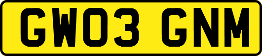 GW03GNM