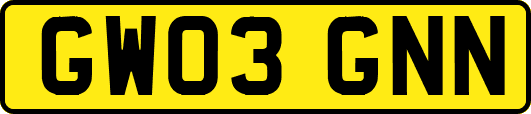 GW03GNN