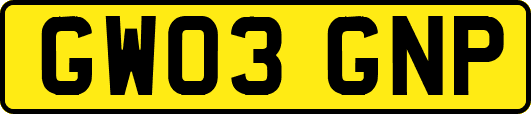 GW03GNP