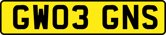 GW03GNS