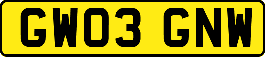 GW03GNW