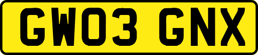 GW03GNX